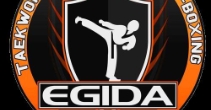 Klub Sportowy egida - taekwondo i kick boxing 