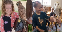 Rozwój ośrodka edukacji ptaków sokolniczych w Lipnicy Murowanej