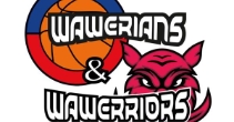 Wsparcie Akademii koszykówki wawerians i wawerriors